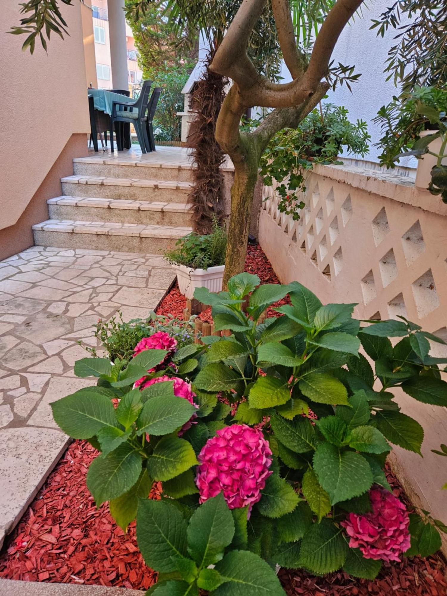 Asterix Apartment Pula