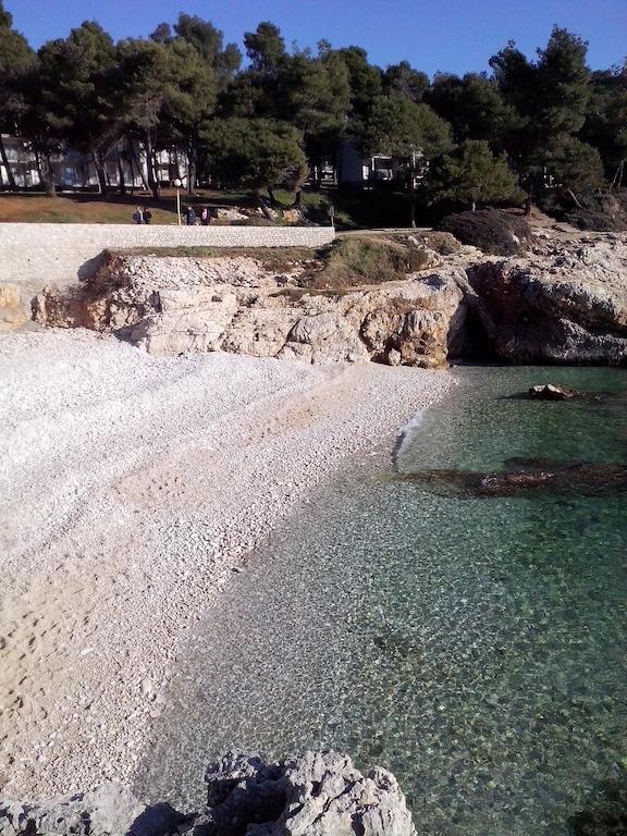 Apartment Asterix *